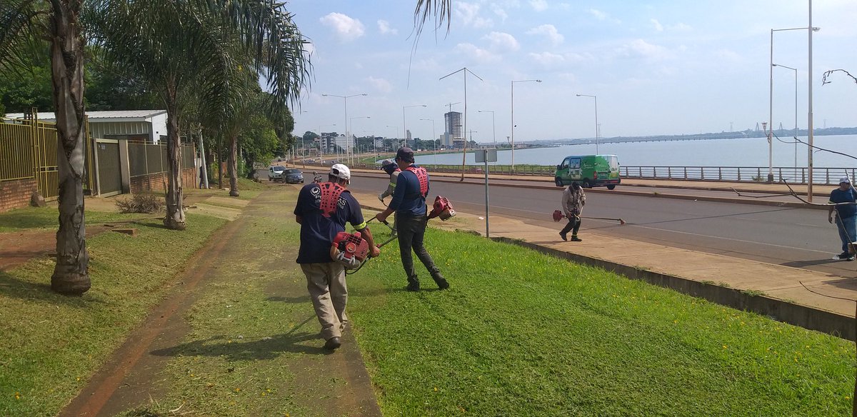 Apoyoygestion1's tweet photo. Tarea de desmalezamiento y limpieza sobre la avenida costanera @muniposadas
#GestionJoaquinLosada https://t.co/ZDDPThPbTr