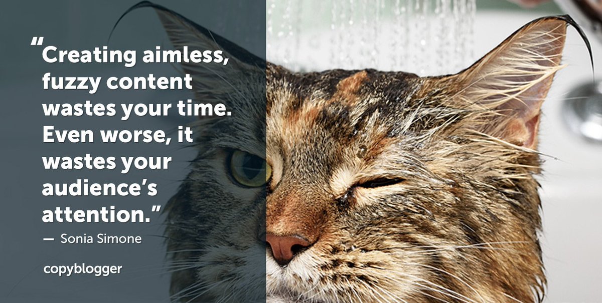 awaec's tweet photo. Quit Annoying Your Audience! Take 3 Simple Steps to Focus Your Content https://t.co/kylL3AVeNS https://t.co/m2eTbEiKEa