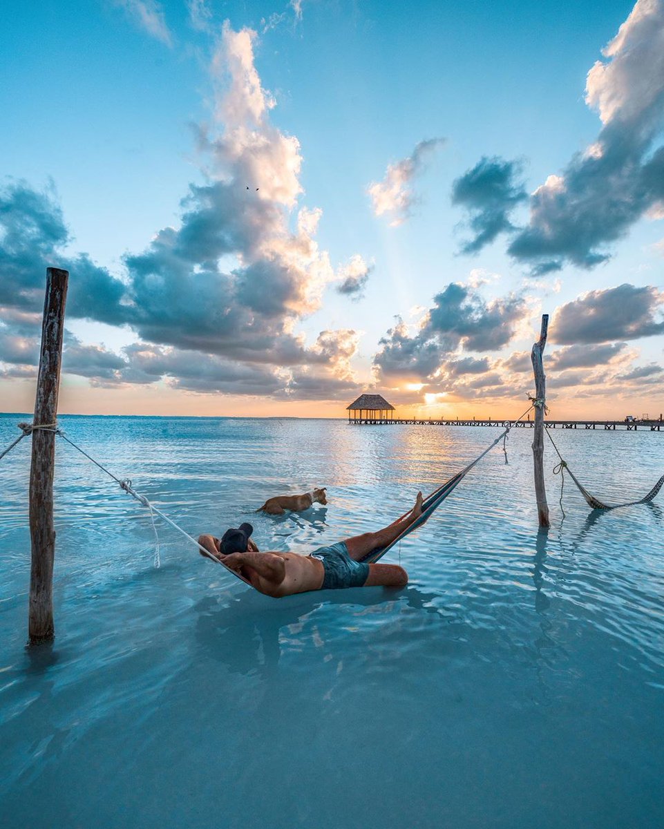 Puerto Morelos tweet media