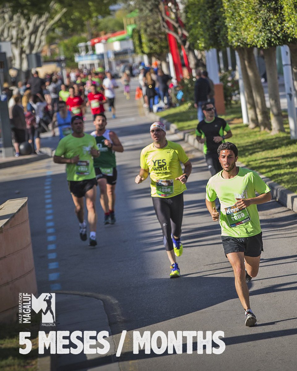 5 MESES / 5 MESOS / 5 MONTHS 

🏃‍♀️🏃‍♂️🔝💪

+ info:  https:/www.maratonmagaluf.com

#halfmarathon #mediamaraton #mallorca  #magaluf #run #runner #10k #running #hmm20 #mediamaraton #UKRunChat #runnersworldde