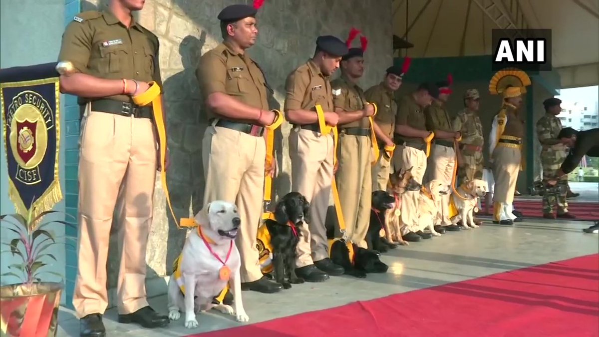 ANI's tweet photo. Delhi: Seven canines of the Central Industrial Security Force (CISF), DMRC (Delhi Metro Rail Corporation) unit were felicitated today, on the day of their retirement. https://t.co/klQBrFEiZg