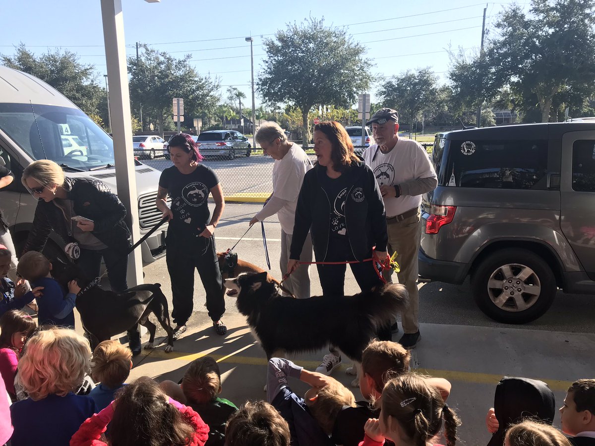 Amanda Serrano tweet media