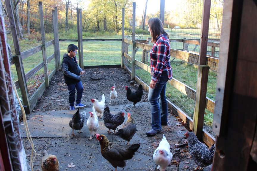 GreenChimneys's tweet photo. New internship opportunity at our Clearpool Campus. Perfect for those interested in #animalcare, #animalassistedinteractions, gardening and helping children with special needs. https://t.co/C0xVgNRgfa
#hai #aai #animalscience #humananimalinteraction #ny https://t.co/fBFk8ULnvK