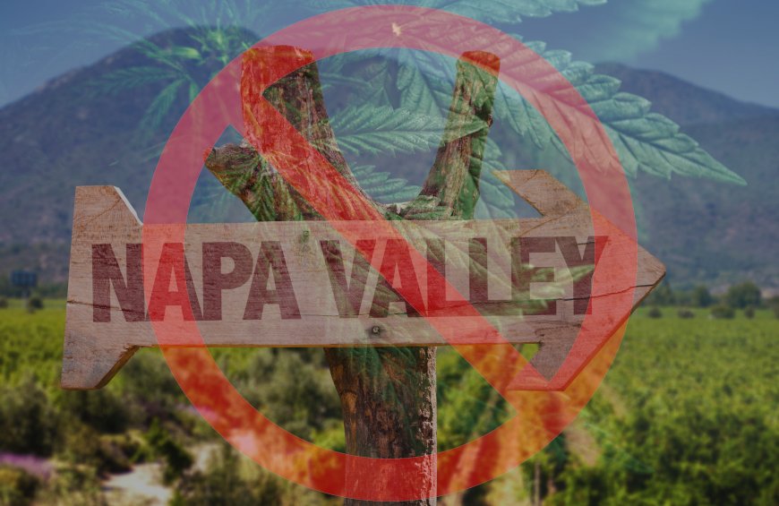 harbormmcc's tweet photo. Unfortunately, there has been strong opposition to marijuana growing in the Napa regions. While the sale and use of marijuana is permitted, the state legislature has left it up to local authorities to decide on the details.

#harborMMCC @nvmg69 #NapaRegions #CannabisCommunity https://t.co/6jv6FRrWGR