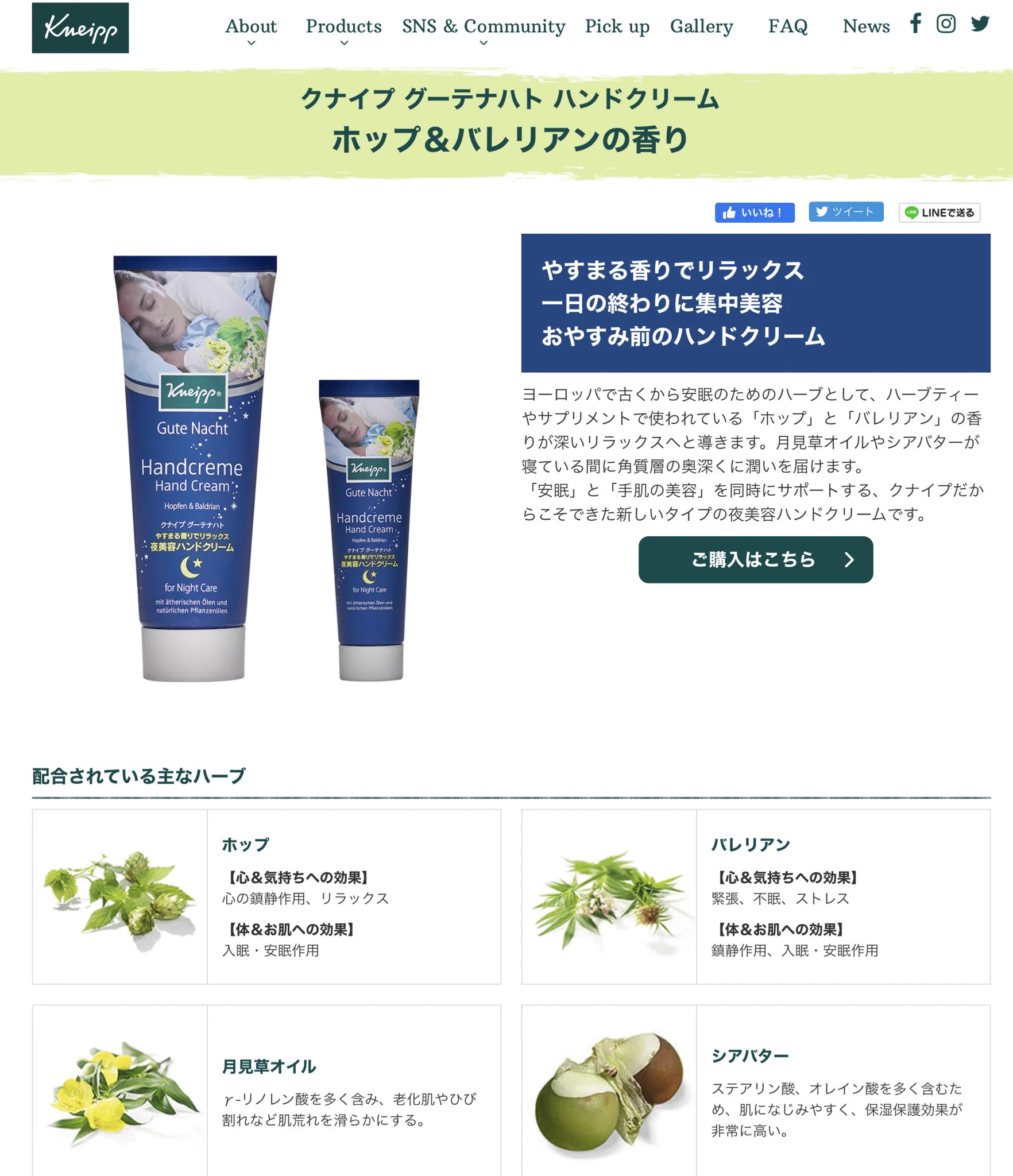 体調メンタルボロクソでも大丈夫。睡眠薬でも盛られたんか？！？ってくらい安らかな睡眠を確保できちゃう