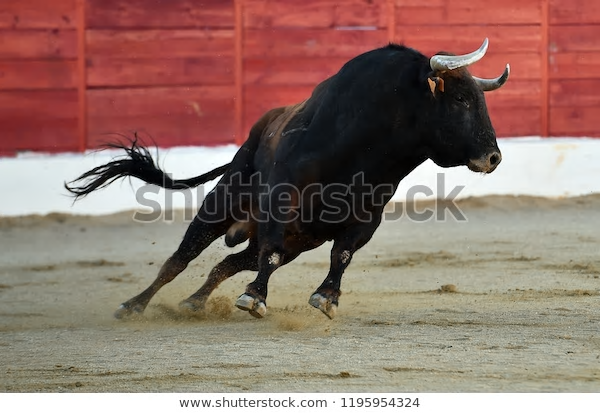 tkbrownwriter's tweet photo. "As the Bull Charges"
          -- by tkbrown
"As the bull charges, life passes . . . "

See the rest here:
https://t.co/dRhQ0Lfb6V

#WritingCommunity #tkbrown #writer #poet #poem #rodeo #bullfighting #bull #life #AmWriting #AmReading #WritersLift 

Photo by: Shutterstock https://t.co/KjWExhWmzU