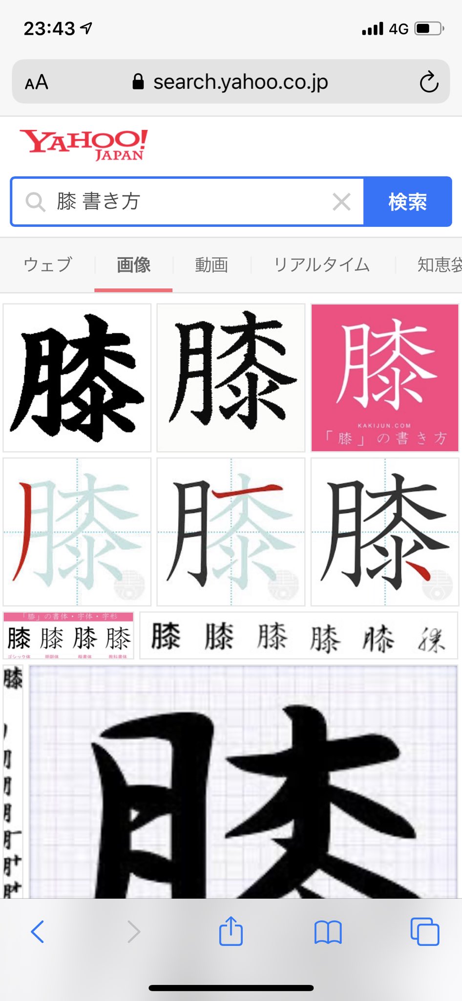 カシバ ジョイネット 膝の描き方調べたらこれ出て1人でちょっとフフってなった悔しい