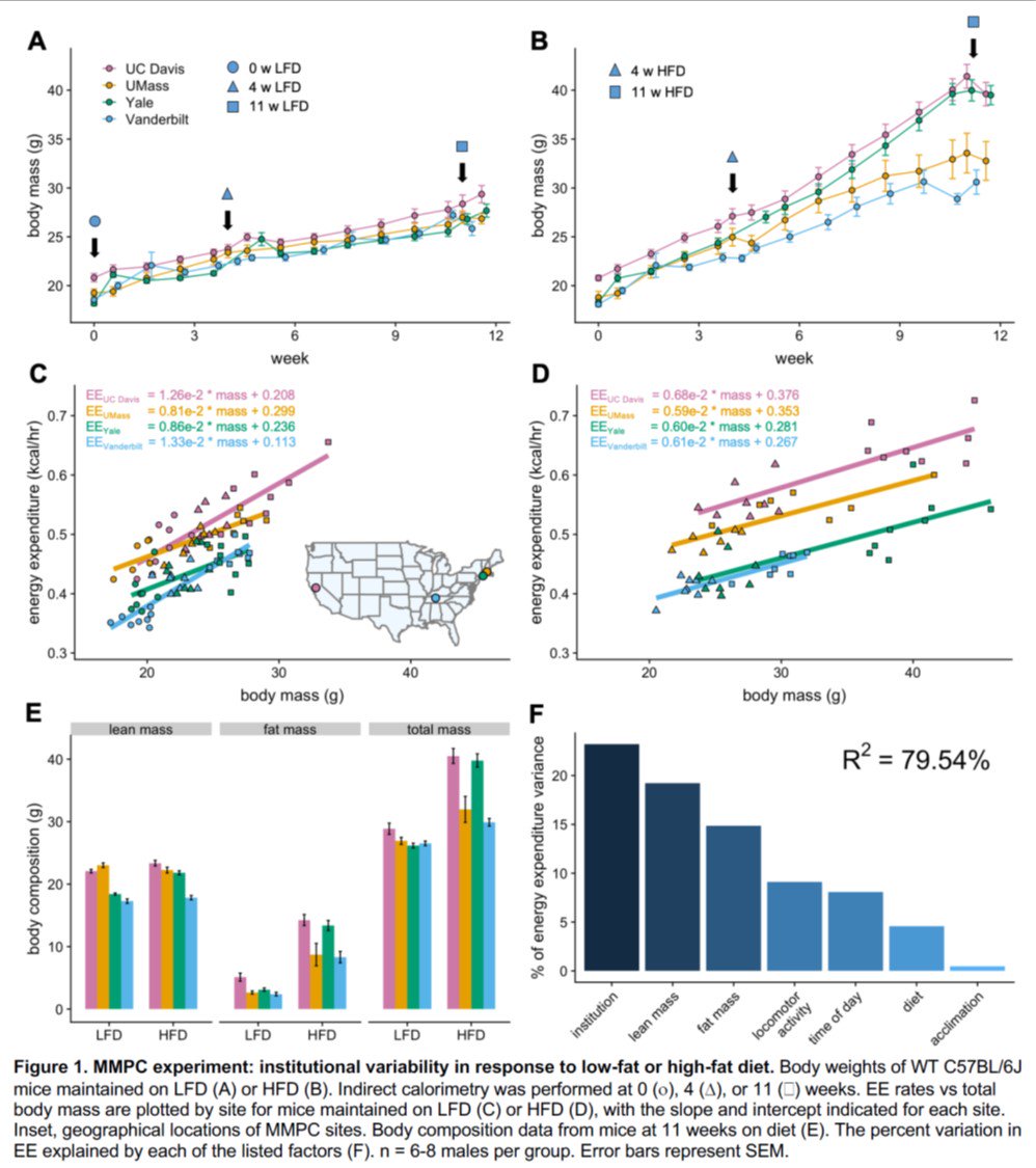 Mouse weight depends on which institute houses them.