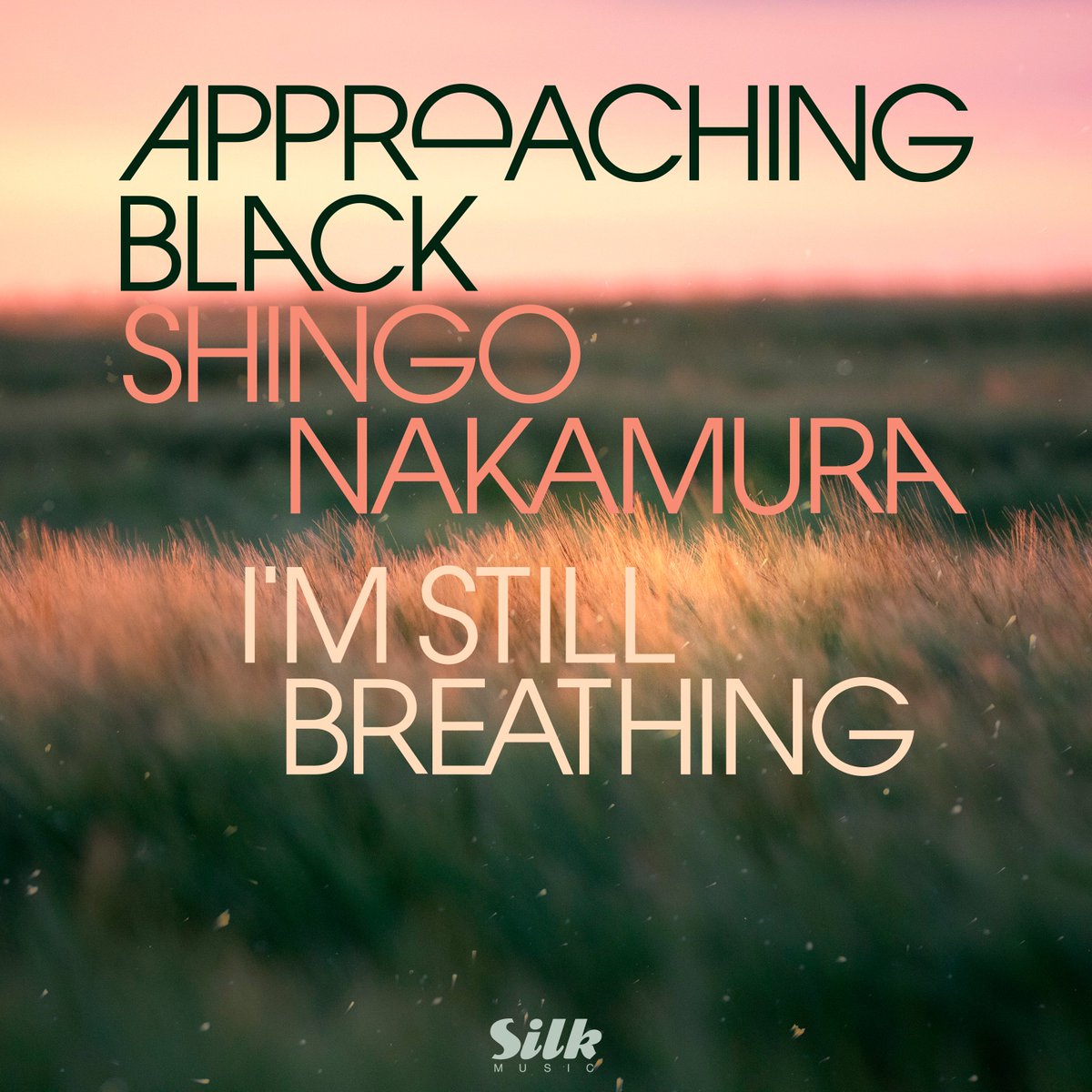Collaboration track with Approaching Black was released from Silk Music. It's a single cut from his debut album "Dusk".
silk.ffm.to/silkm233
