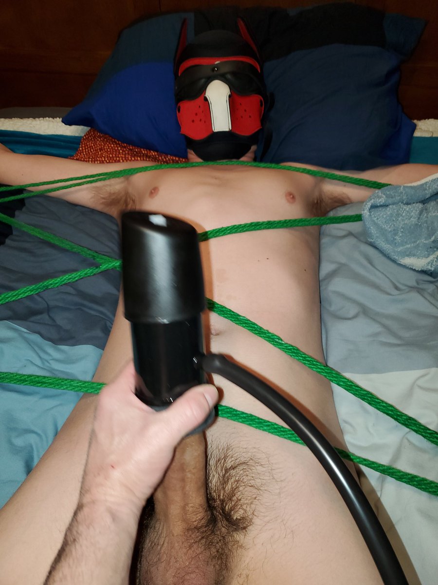 PupSirius's tweet photo. Beta got milked last night #puppyplay #goodbeta https://t.co/3VXC4DugGW