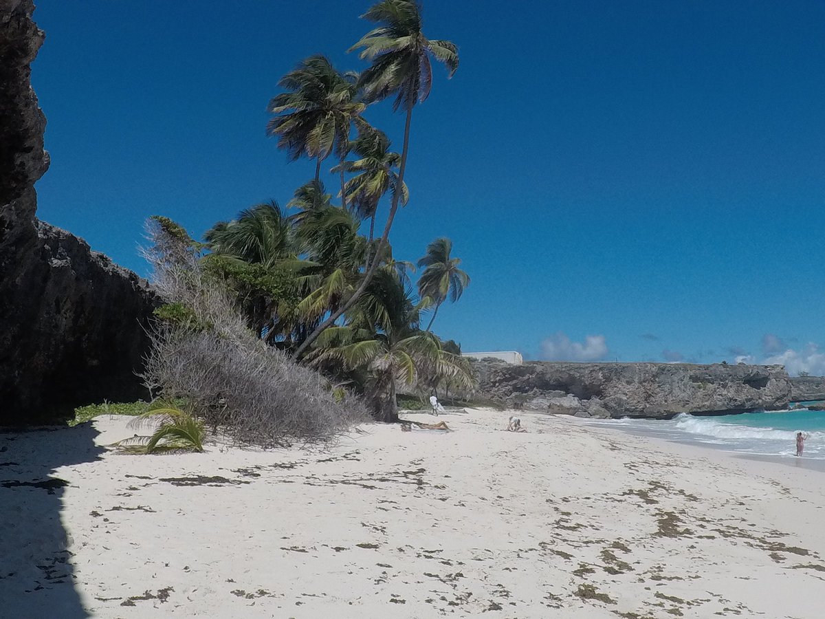 jeff_oneill's tweet photo. This idyllic beach looks perfect. It is stunningly beautiful. While leaving I did a 5 minute #plastic pick up and found fishing nets wrapped in seaweed, bottles and cups, wrappers, packing straps. #plasticiseverywhere #plasticpollution #savetheocean #bottombay #barbados https://t.co/XmIcBVbS3L
