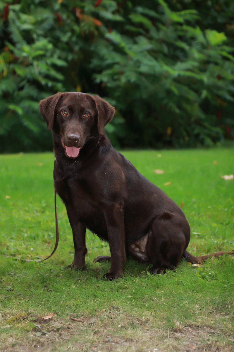 Correctional Service tweet media