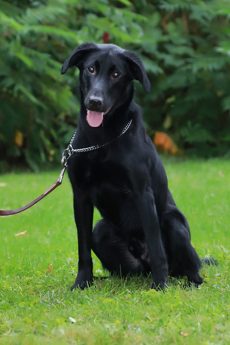 Correctional Service tweet media