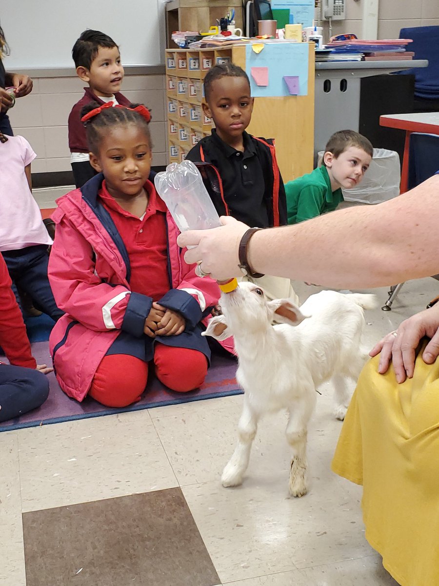PutnamSchool's tweet photo. Agriculture ROCKS! Thank you to Farmer Joe and Mrs. Ezzard for sharing the baby goat Star with us. Star's Mama could not car for her, so with the help of Mrs. Ezzard we are learning about caring for Star. https://t.co/82z3nEQc1r