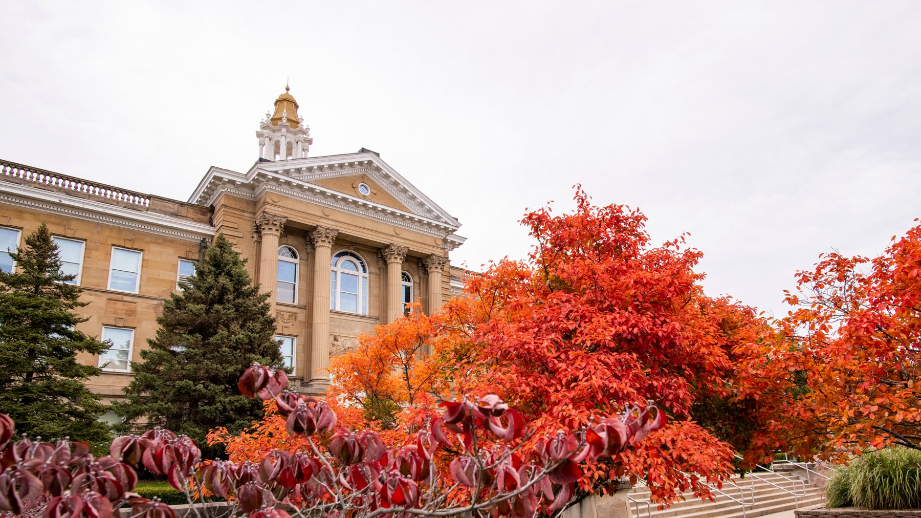 Western Illinois University on Twitter "Is there anything better than