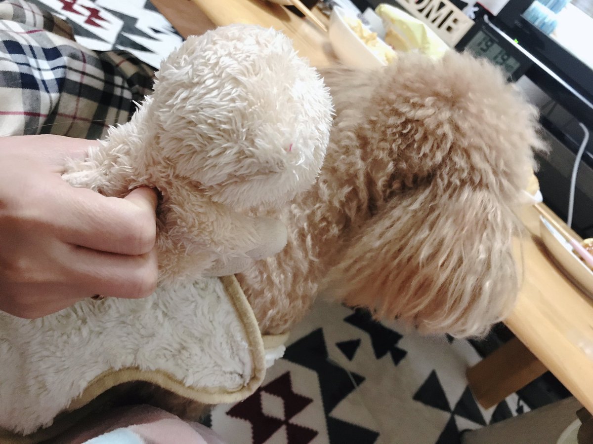 __toydoll's tweet photo. ぶれーめんのおんがくたい 🎺 https://t.co/qYu5N9q1PV