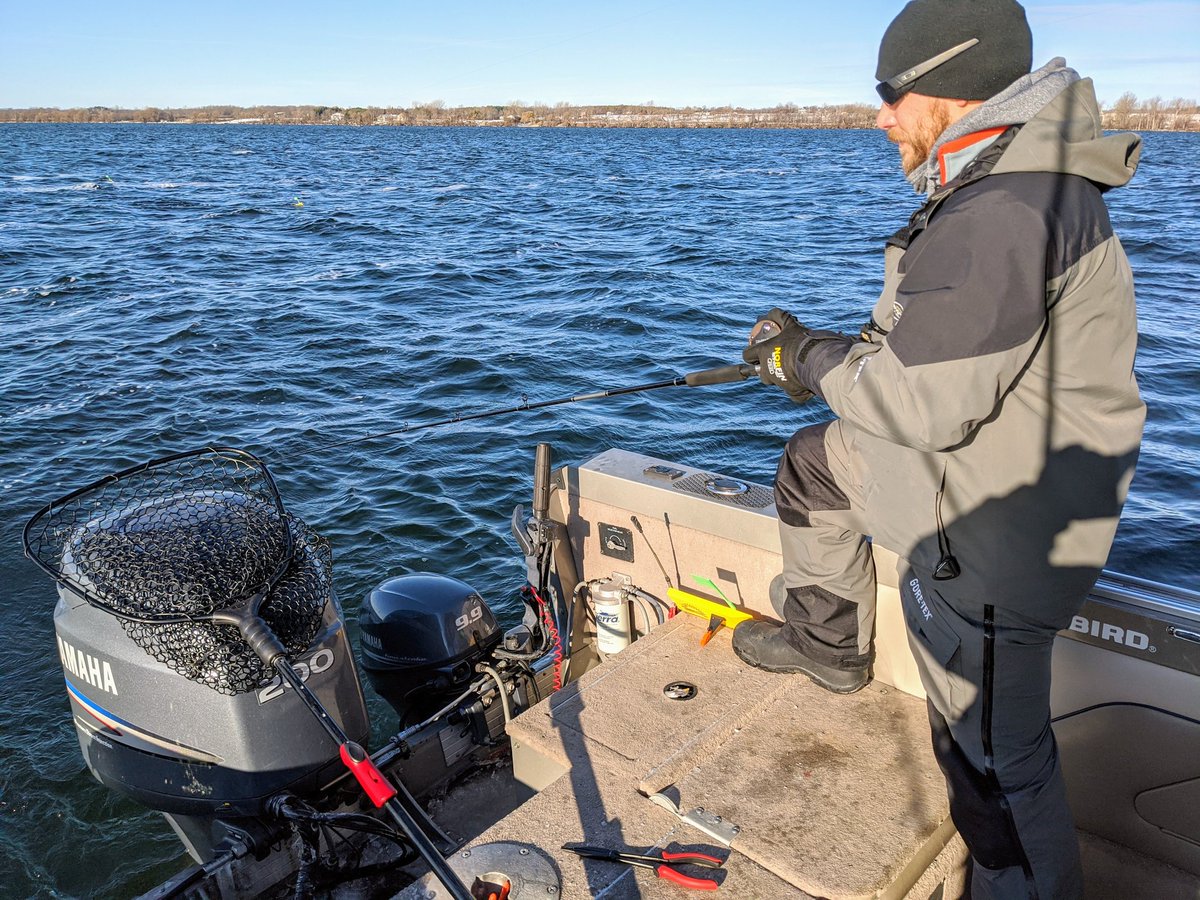 Crazy_Yankee_SF's tweet image. The anticipation of #howbigisit when chasing a trophy #walleye @offshoretackle @DaiwaUSA