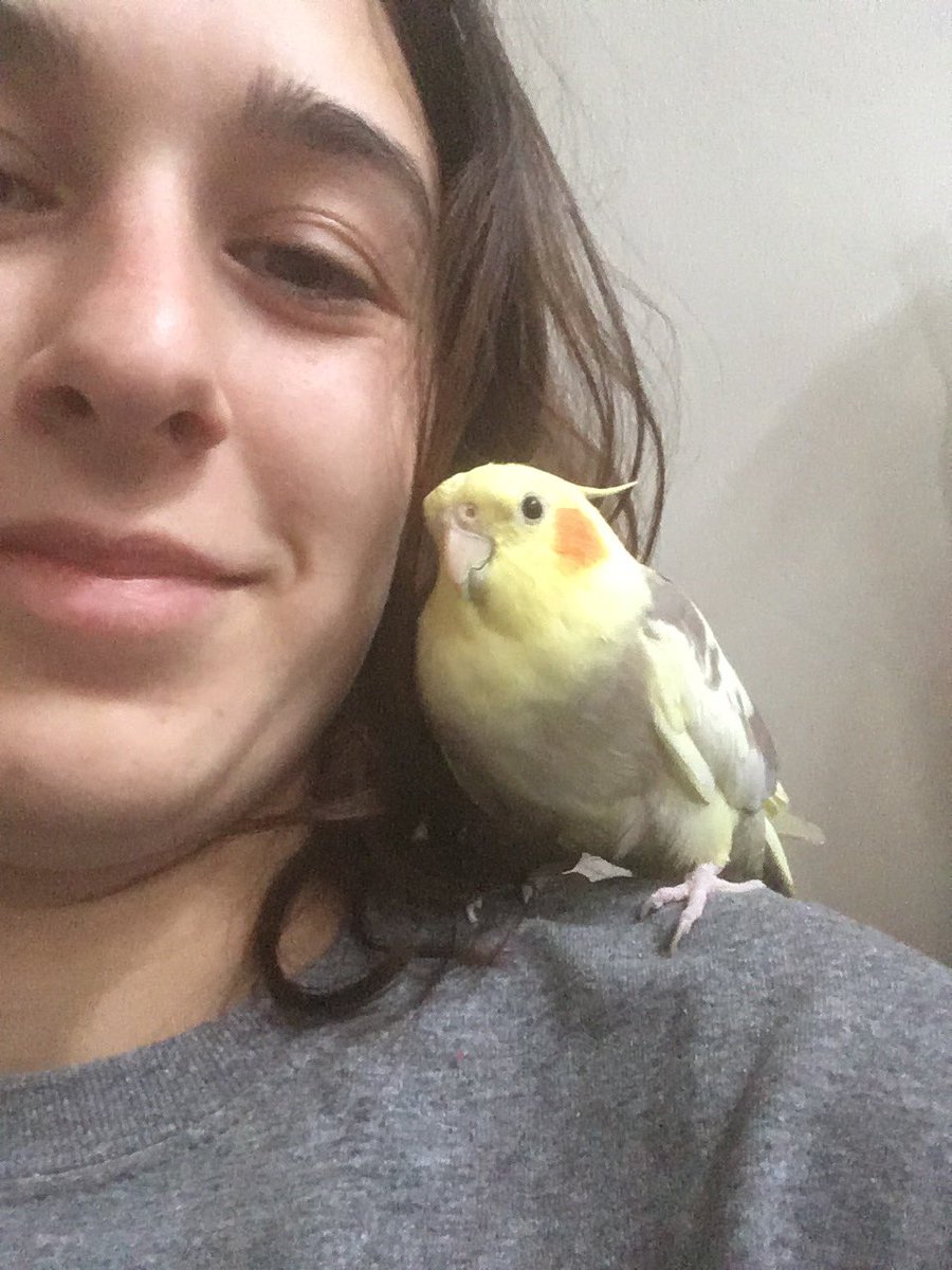 113squishy's tweet photo. She is demanding, not requesting, snuggling today. Really helps with the whole self worth thing when she’s this affectionate. https://t.co/uIfZmgfVJW
