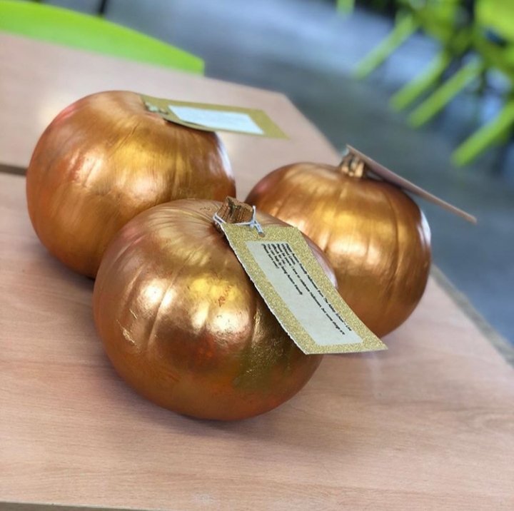 Live_WO_Limits's tweet photo. We had a blast whilst making our gold pumpkins to raise funds for the construction of a sensory room in our school! The pumpkins were painted from orange to gold to symbolise the colour of autism; gold. We found buyers in our local businesses who felt the same about this issue(1) https://t.co/UgfNTZInVp