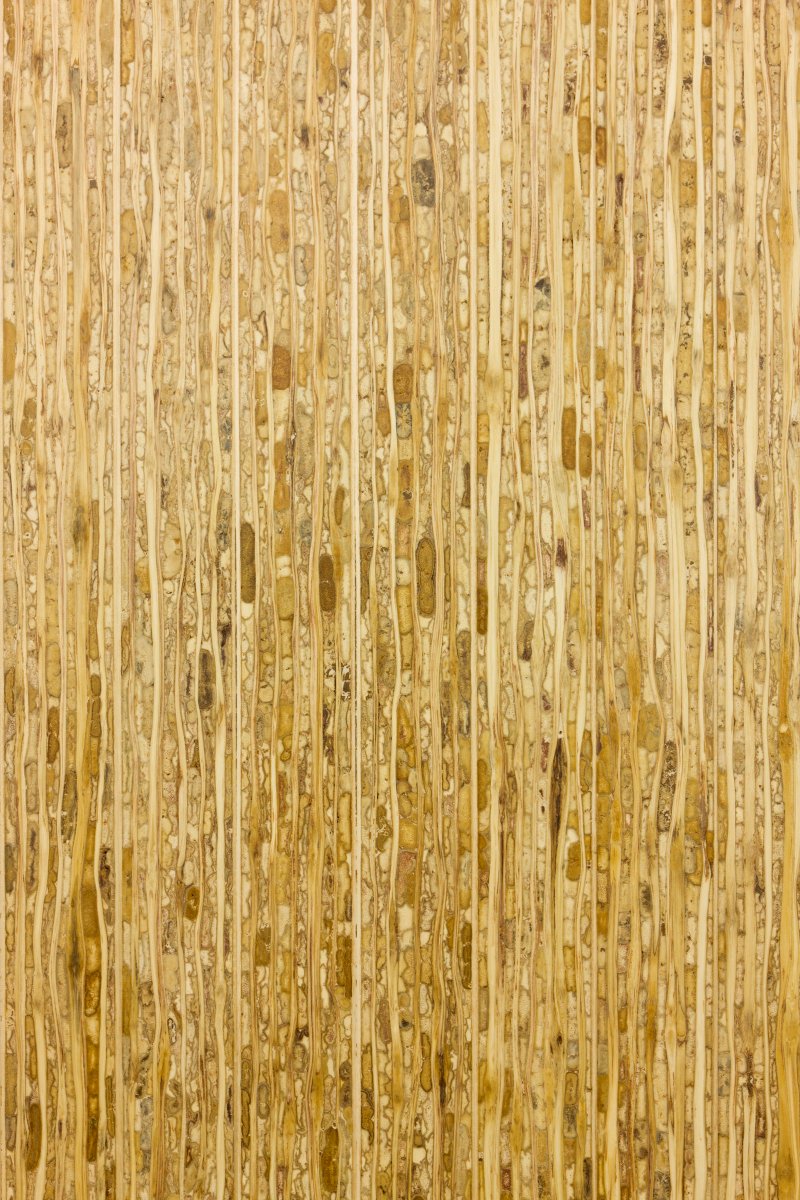 verticalscreen's tweet image. Being #sustainable company is a core part of our company's mission.  

Our bathroom partitions are made with Kirei board, which is made with excess sorghum stalks.  

(There's no emoji for sorghum, so here's a complementary T-rex emoji instead:🦖)