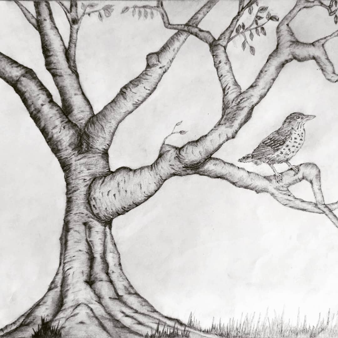 Photography is an immediate reaction, drawing is a meditation.