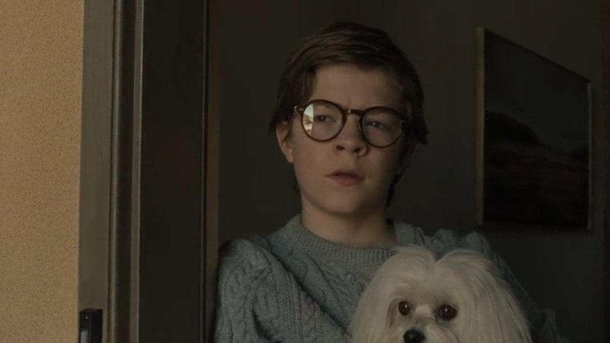 Черноголовый щегол птица. , 1758). Самка щегла обыкновенного. У птенецседоголового щегла. Щегол собака.