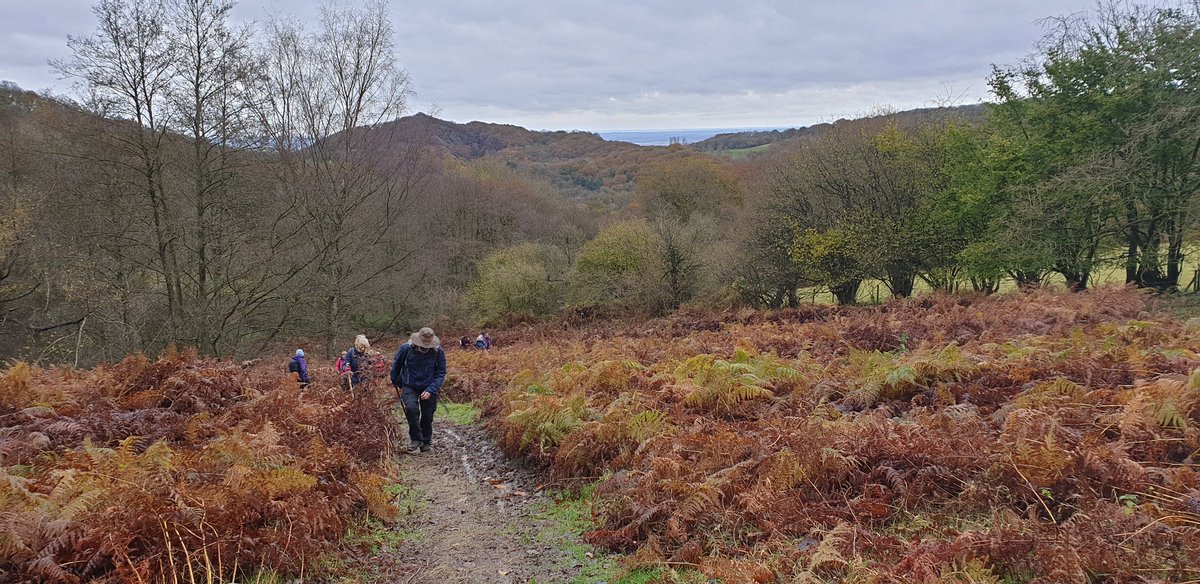 AnneSuffolk's tweet photo. You can escape that political debate tonight. Come to Telford Ramblers AGM Old Police Station Shifnal 7.30pm instead. Find out how Telford was 'rewilded' from slag heaps and a network of green spaces and nature reserves was designated, now our 50 mile T50 trail. Perfect excuse. https://t.co/65kRe3eW77