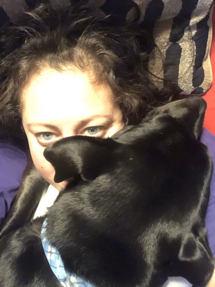 PetCarePartner's tweet photo. That #dogmom life ... https://t.co/BYxiQrJRlI