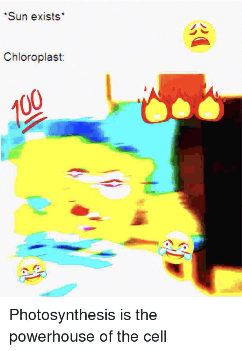 FirstChlorop's tweet photo. Here’s a little about myself https://t.co/xNtfcbHjre