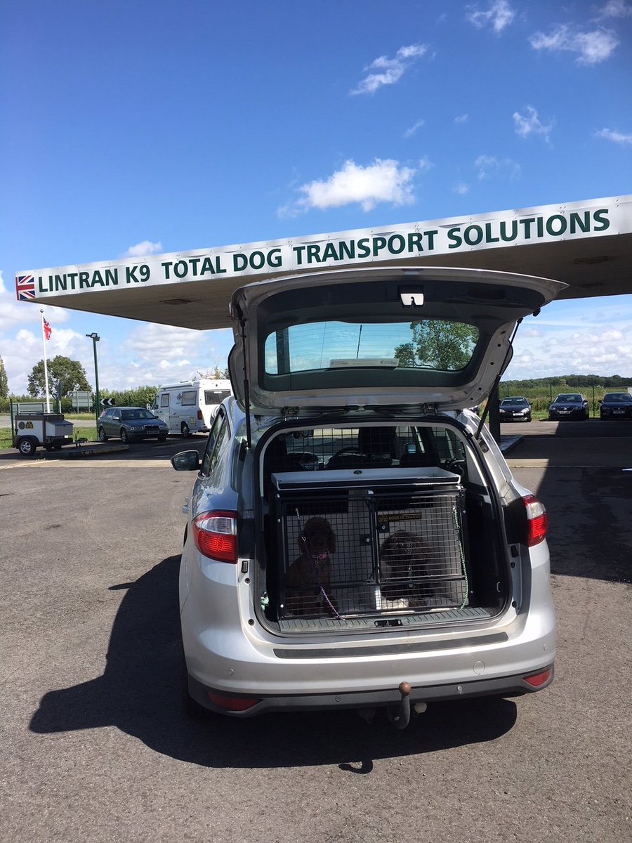 lintranK9Ltd's tweet image. Look at those blue skies..frosty night maybe?.as well as keeping dogs cool Lintran boxes will also help keep your dog warm in colder conditions...call now for 'Winter Warmer Deals'..plus free easy clean fleecy bedding with every box order #dogbox #safe #whiteboxes #dogsoftwitter