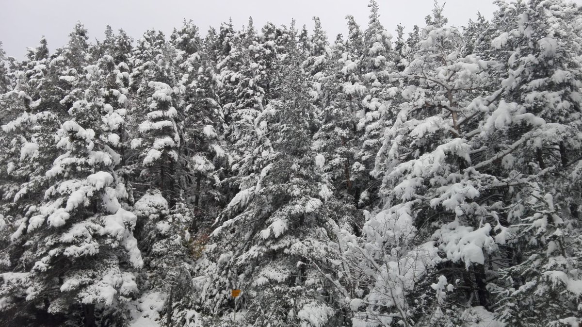 pzbaldetena's tweet photo. Pirineo Aragones #YESERO #AltoGallego #Cotefablo https://t.co/o2q7CcnVmo