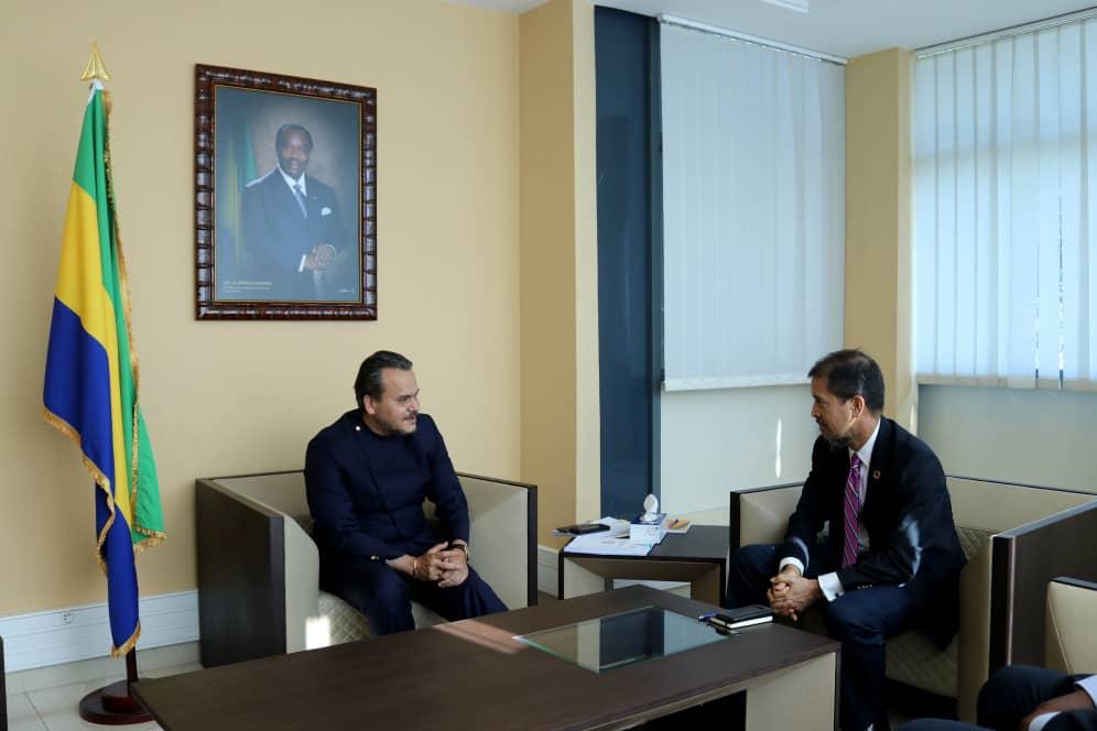 En ma qualité de ministre chargé du Suivi de la stratégie des investissements humains et des objectifs de développement durable, j'ai reçu ce mardi le représentant résident du <a href="/pnudfr/">ONU Développement</a> au #Gabon, M. Francis James. #éducation, #emploi, #environnement... autant de sujets abordés.