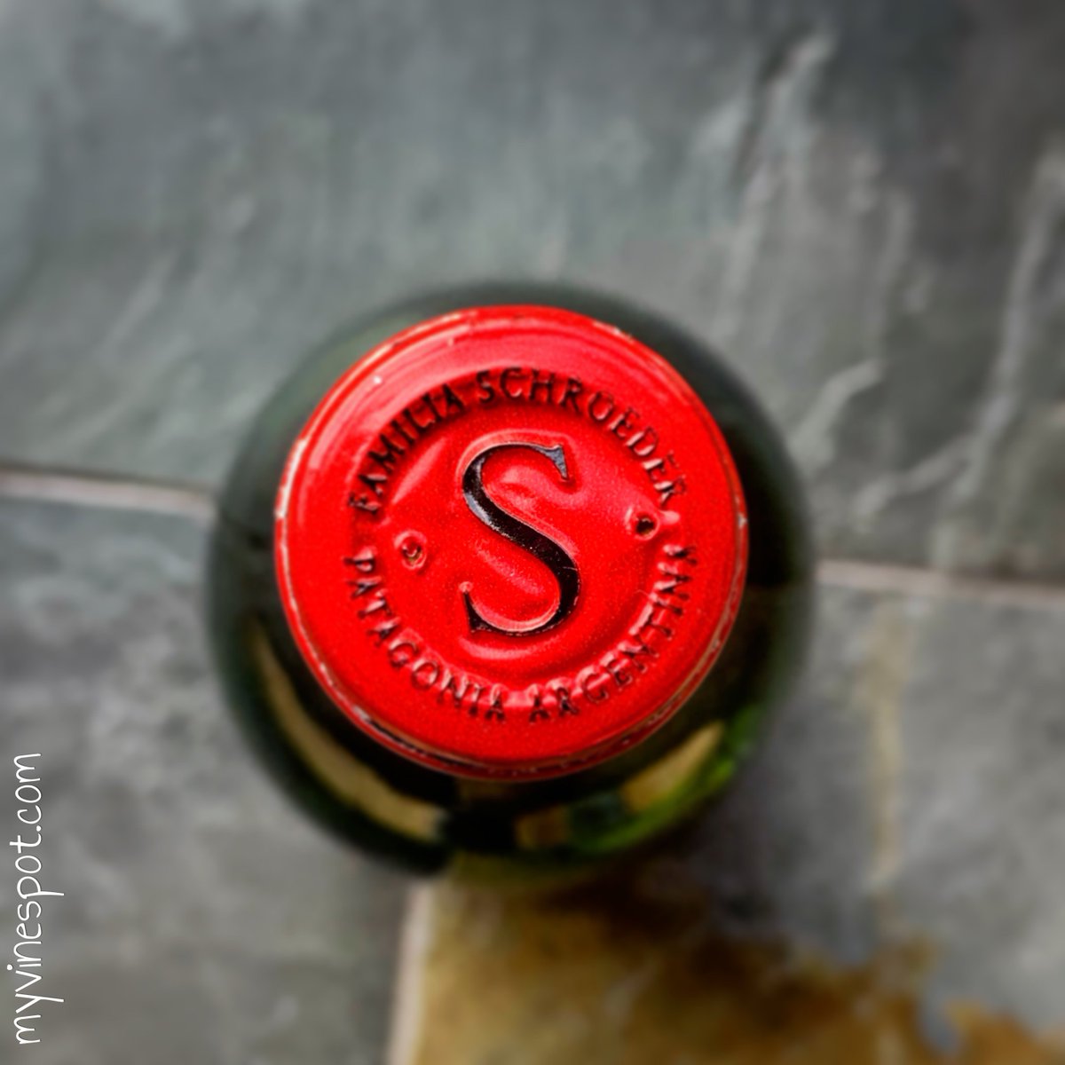 “Saurus concentrates spontaneous and bold charm of Patagonia. The discovery is part of his personality—captivating and lively, stands out for his youth, freshness, intensity and fruitiness.” ~ <a href="/SchroederWines/">Familia Schroeder</a> #ThankfulForVino #portfolio #wine #winelover #MOTD #VinoArgentino
