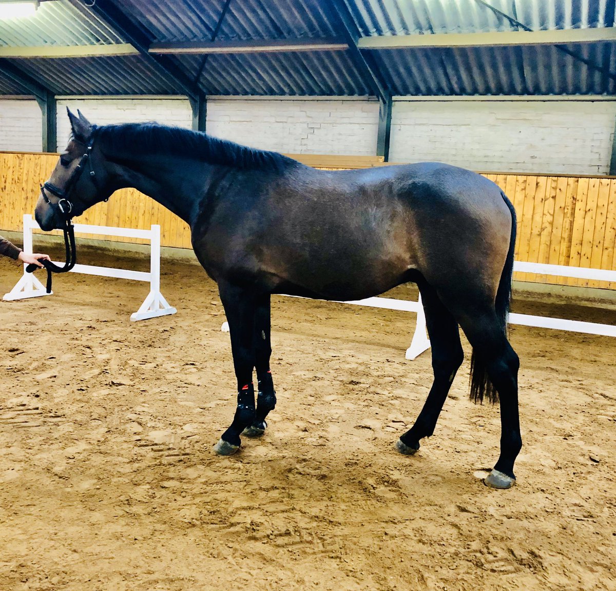 Lot #9 in Addington Elite Winter Collection: brightwells.com/lot-details/44…