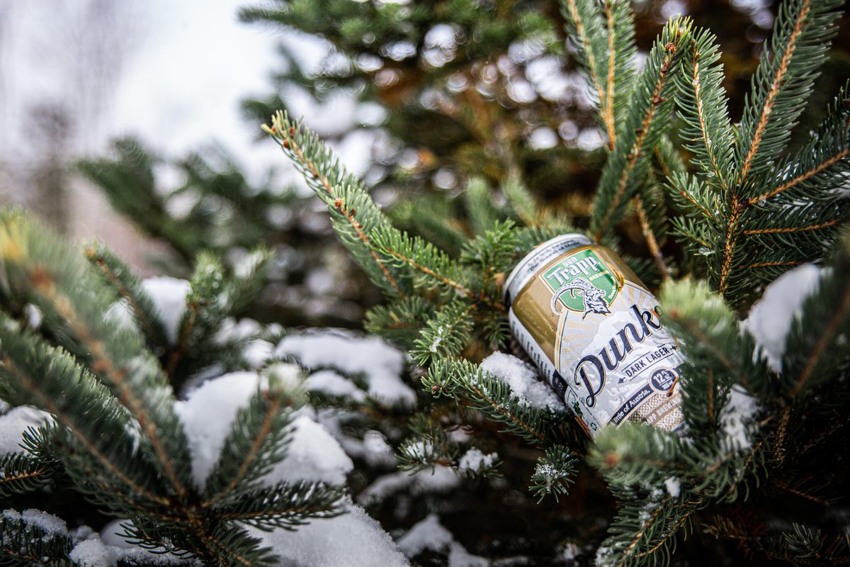 vonTrappBrewing's tweet photo. What a great time for a crisp and clean tasting lager. #vontrapplagers #vermont #springwaterlagers #vTLagers #stowelager #vermontbeer #craftbeer #newenglandlagers #drinkcraftbeer #drinklager #drinkresponsibly #dunkel #creamy #toffee #roasted #mediumbodybeer #dryfinish https://t.co/34FRRznJC3