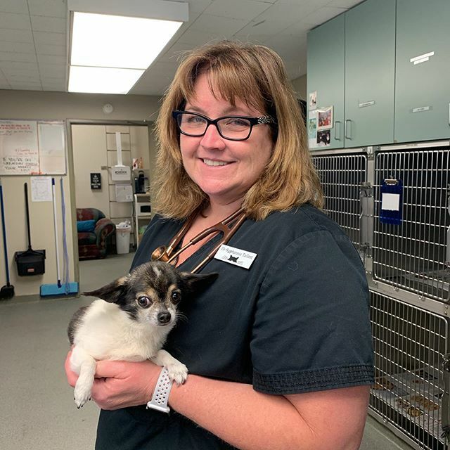 StephCat's tweet image. It’s Baby Yoda! Meet Spike :) small but fierce. ift.tt/2O3hkEy