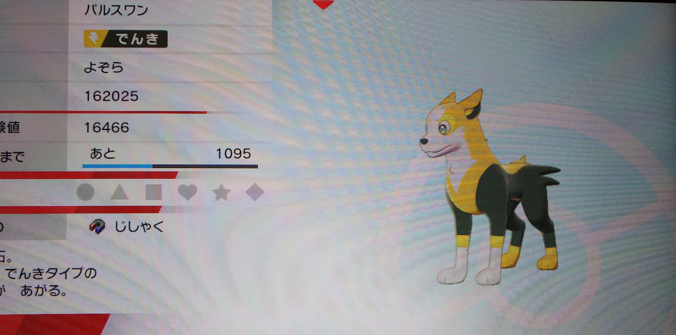 こなた ポケモン専用 水ジム バケッチャで戦ったんだけど 最後のカジリガメにやられたｗ ワンパチの進化系のパルスワンで何とか勝ちました 次は火ジム 地味にコイキングをギャラドスに進化させてたので育てます ポケモンソードシールド ポケモン
