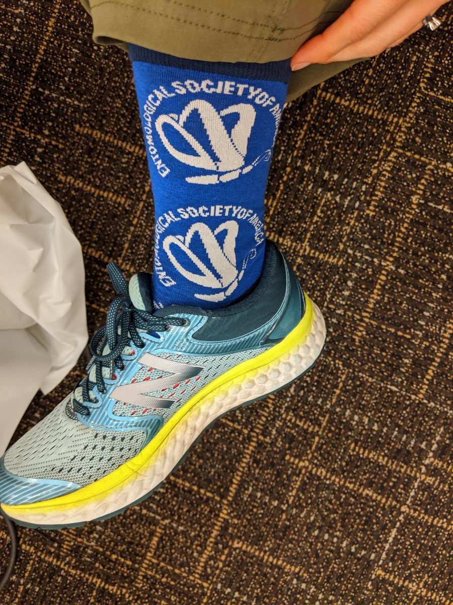 LMDiepenbrock's tweet photo. Late #bugsocks post today. Really enjoying these @EntsocAmerica socks!! #EntSoc19 https://t.co/YmVqvuzgJB