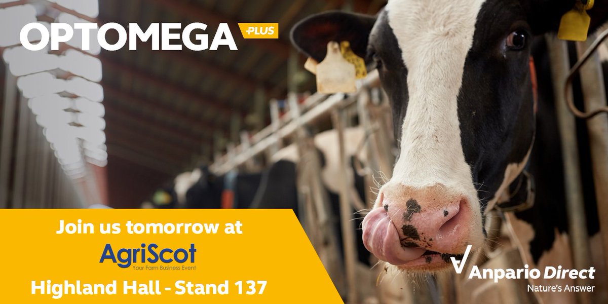 AnparioDirect's tweet photo. Many forages and feed ingredients are naturally low in #omega3 fatty acids👉 addition of a supplement high in these essential fatty acids (EPA&amp;DHA) can be beneficial to you and your #cows!🐄

Find out more tomorrow @AgriScot Stand 137 in Highland Hall! 

#OptomegaPlus #Dairy https://t.co/pOCd6InGwS