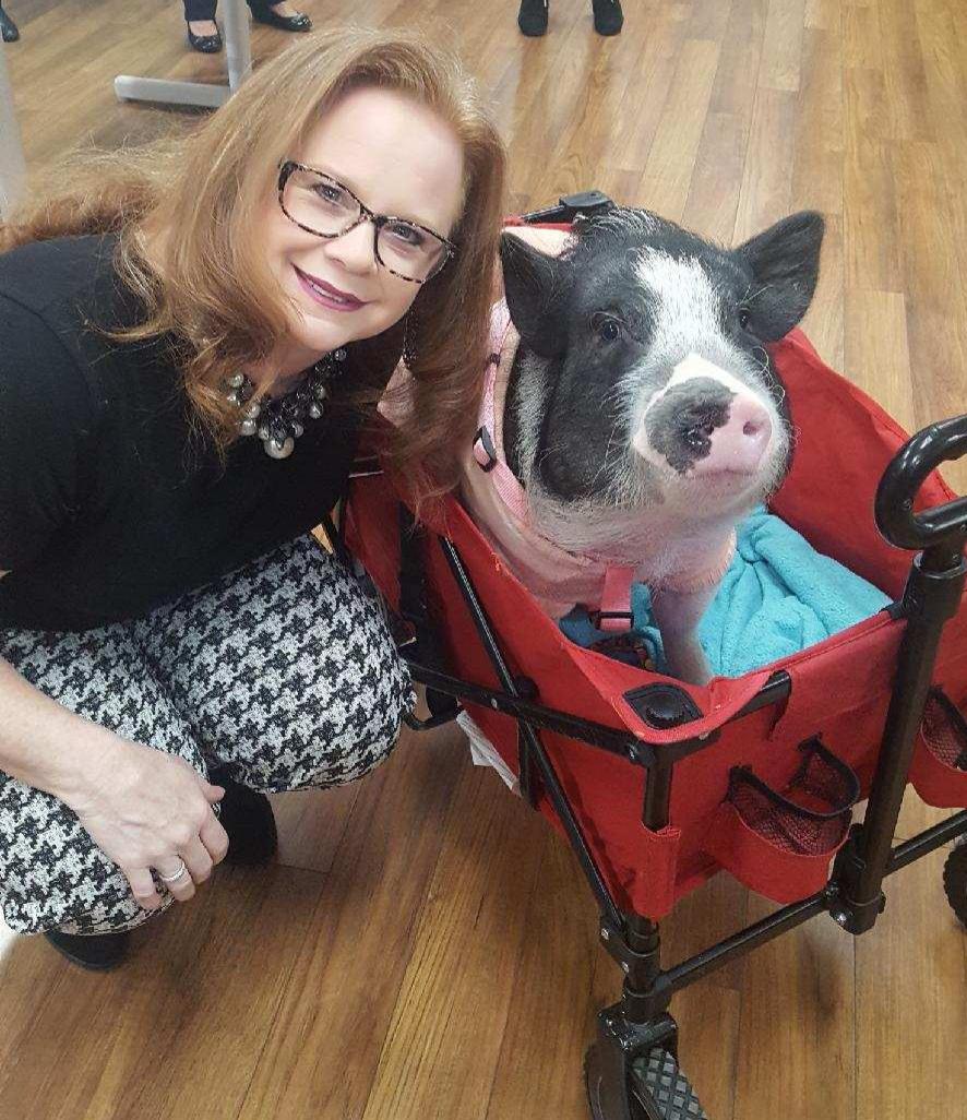 GwenlangOKC's tweet photo. When you get to #kissapig for @unitedwayokc it's a good start to #TuesdayMorning! https://t.co/M5JvUH0uIB