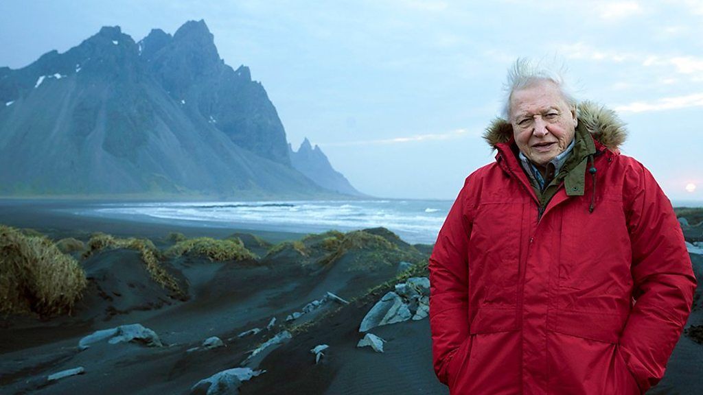 The world is beginning to tackle the threat of #plasticwaste, according to Sir David Attenborough. "I think we're all shifting our behaviour, I really do," Sir David said in an interview with the BBC. buff.ly/2pvn8NE

Were you hit by the #BluePlanetII affect? 🤩