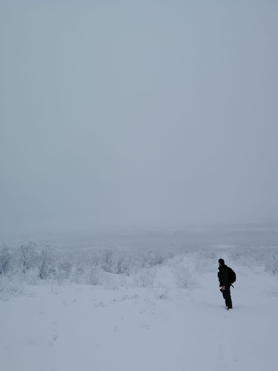 365offgrid's tweet image. Whiteout day.... 
#offgrid
#bugout 
#adventure 
#tactical 
#edc 
#mountains 
#survival 
#warrior 
#viking
#frontier 
#wilderness 
#outdoors 
#knife 
#hunting 
#climber 
#skier
#mountainman 
#life 
#freedom 
#love
#fighter
#professional
#nomad
#bushcraft