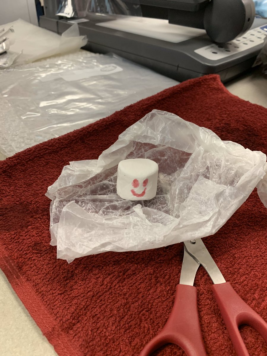 Did we see you at <a href="/NISE_US/">NISE</a>? #nise2019 #stemeducation #teacherwin