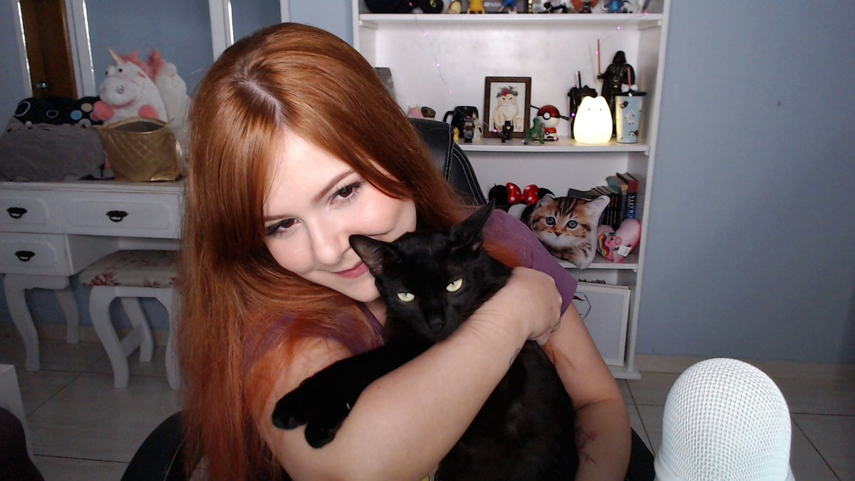 cherryrar's tweet image. olá gatinhos felicia chegooooooooooouuuuuuuuu