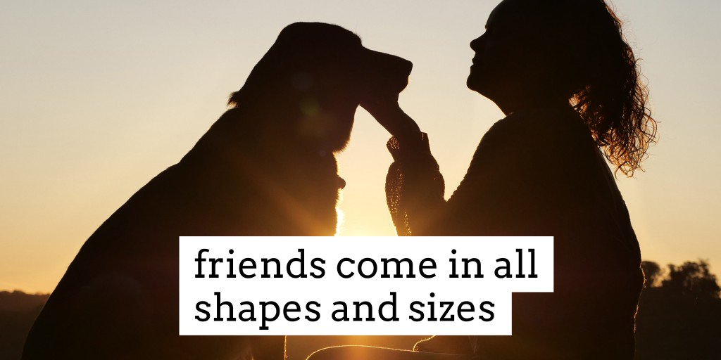 Fabulous Food tweet media