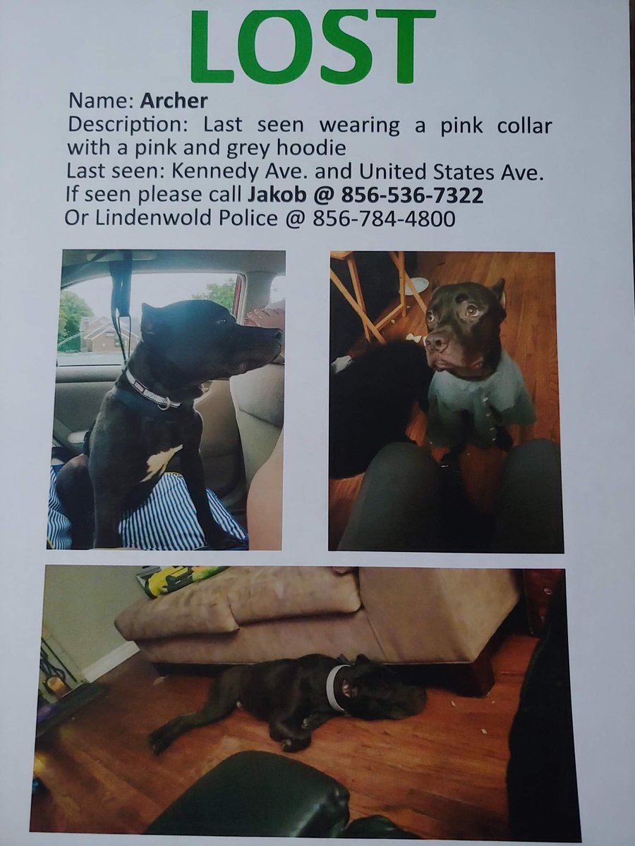 He's been gone a little over 2 weeks We're assuming someone has found him and is keeping him. We miss him very much, please do the right thing and take him to a shelter so they can return him to us. Please continue to share ❤ #bringarcherhome