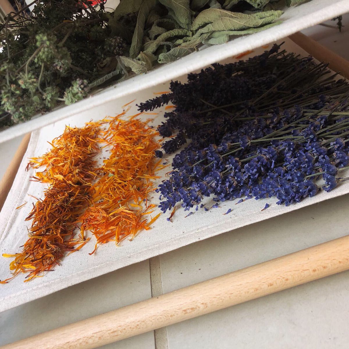 EllenMaryGarden's tweet photo. Herb drying in action! 🧡💜
#herbs #herbal #herbdrying https://t.co/xFfzyNjIAs