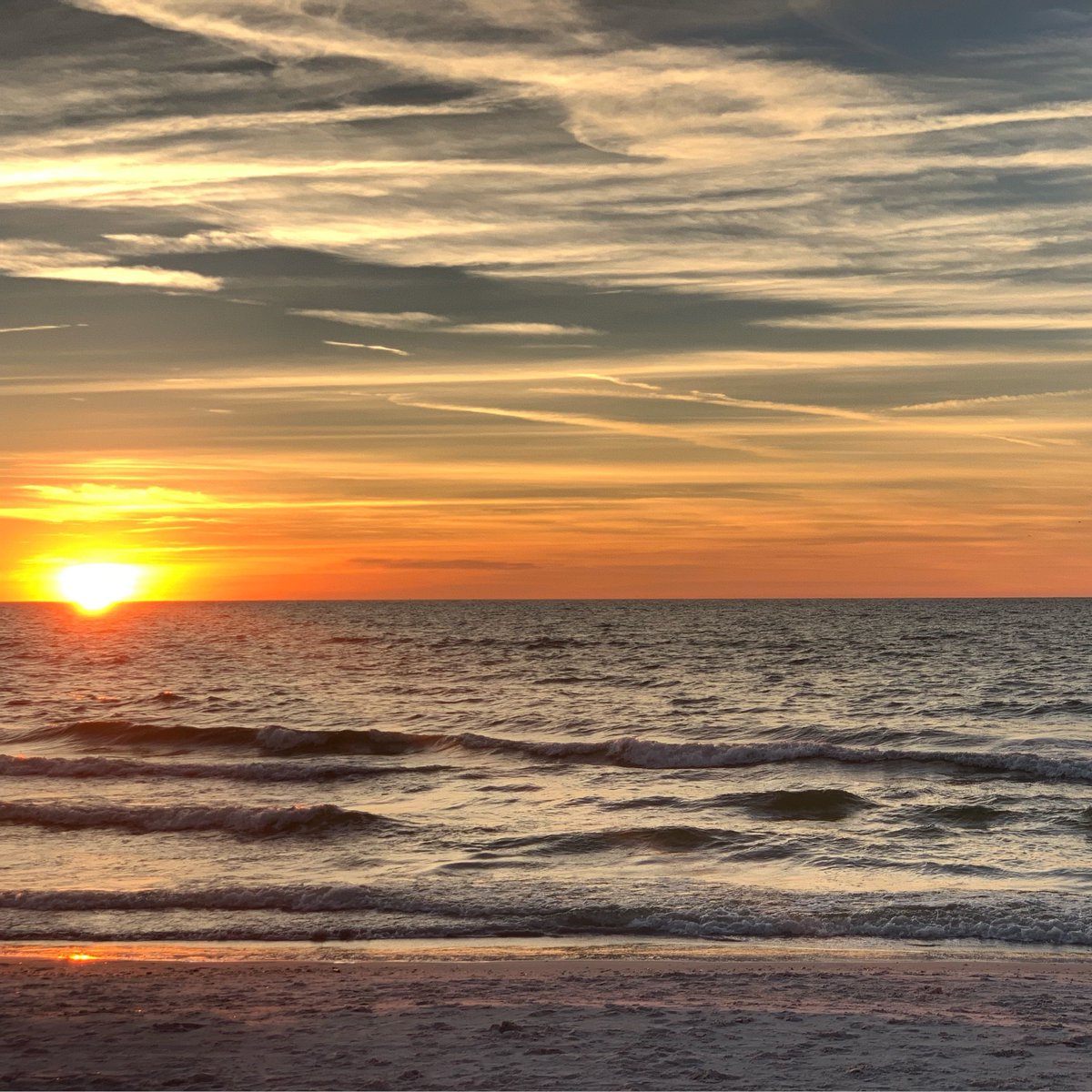 Crystal Palms Resort tweet media