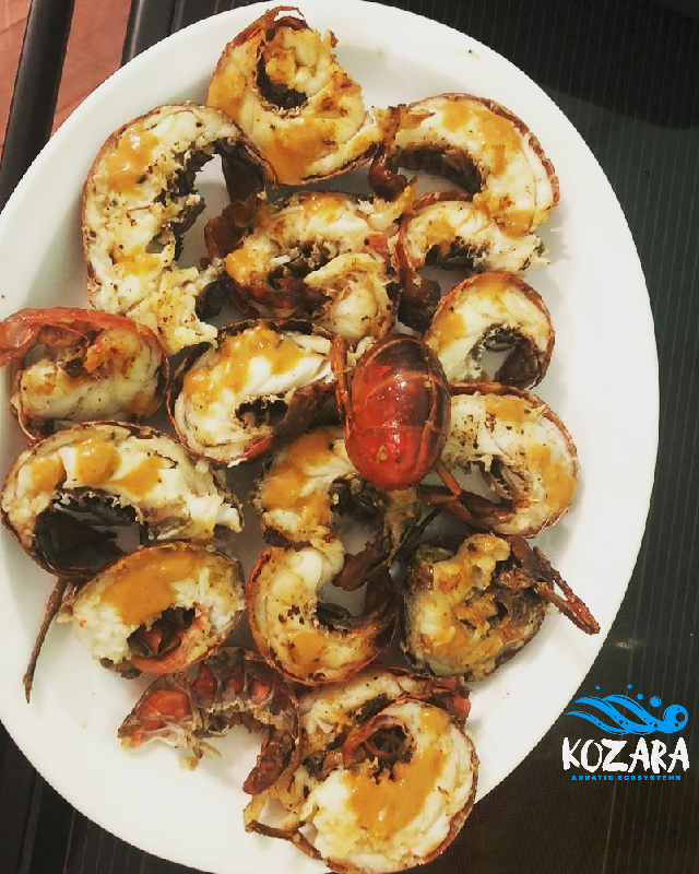 AndrewNguvu's tweet photo. No doubt it's a thrill to be an entrepreneur across any sector! But what's more thrilling and strikingly breath taking is to pioneer a whole industry! #Seafood #Aquaculture #Aussie's #Redclaw #KozaraKrayfish https://t.co/tRp9rv5Yrv