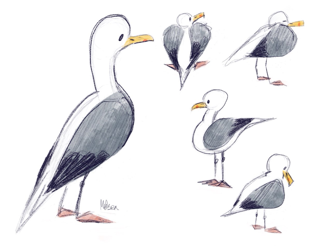 observational birb drawings from my holiday this year. #observationaldrawing #gesturedrawing #birbart #birbs #birdlover